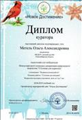 Диплом куратора за подготовку победителя Международного конкурса декоративно- прикладного творчества "Столовая для пернатых", работа "Столовая для пичужки", 05.02.2019 г. Диплом куратора за подготовку победителя Международного конкурса декоративно- прикладного творчества "Столовая для пернатых", работа "Столовая для пичужки", 05.02.2019 г.